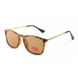RayBan Erika Chris RB4187 Tortoise Gold Brown Sunglasses