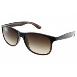 RayBan Sunglasses RB4202 Andy 714 71 55mm