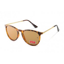 RayBan Erika Classic RB4171 Tortoise Gold Sunglasses