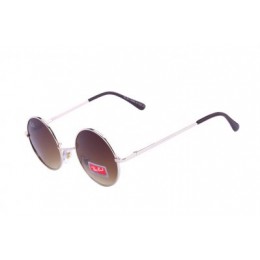 RayBan Icons Round RB8008 Brown Silver Sunglasses