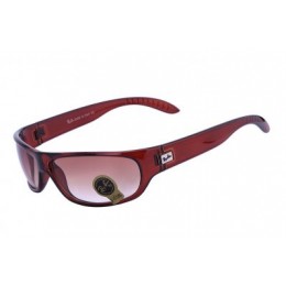 RayBan Active Lifestyle Solid RB4176 Brown Sunglasses