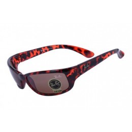 RayBan Active Lifestyle Solid RB4176 Leopard Sunglasses GDB