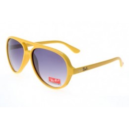 RayBan Cats 5000 Classic RB4125 Purple Yellow Sunglasses