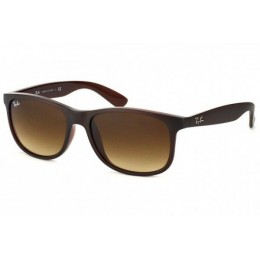 RayBan Sunglasses RB4202 Andy 6073 13 55mm