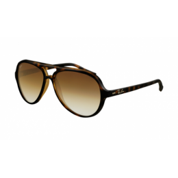 RayBan RB4125 Cats Sunglasses Tortoise Frame Crystal Brown Gradient