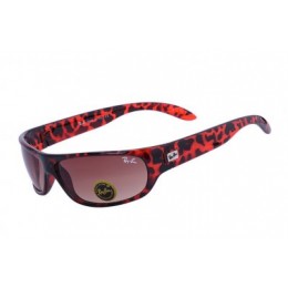 RayBan Active Lifestyle Solid RB4176 Leopard Sunglasses GDA